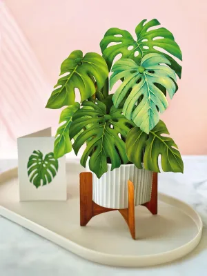 Monstera Plant Pop Open Bouquet Greeting Card