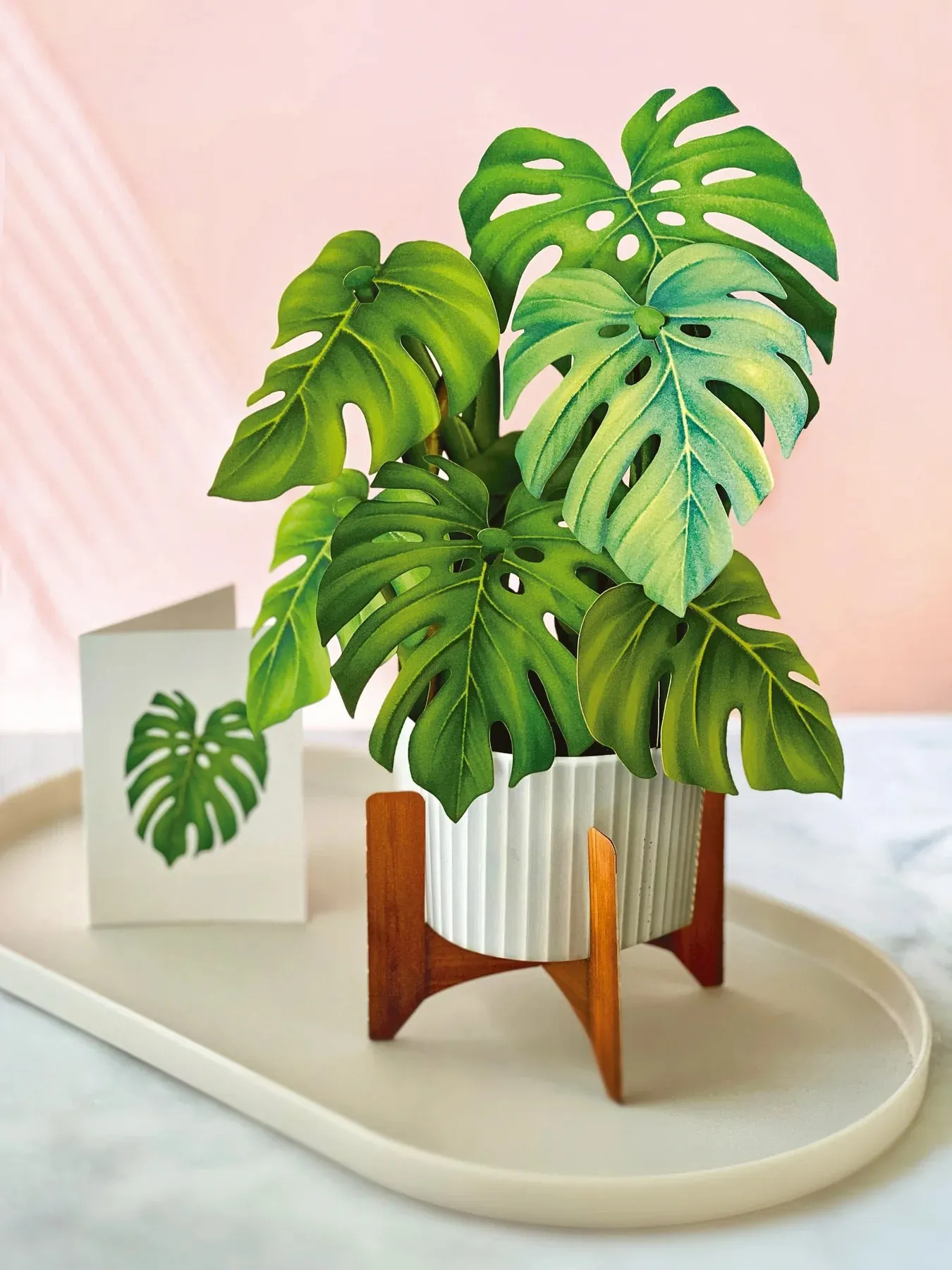 Monstera Plant Pop Open Bouquet Greeting Card