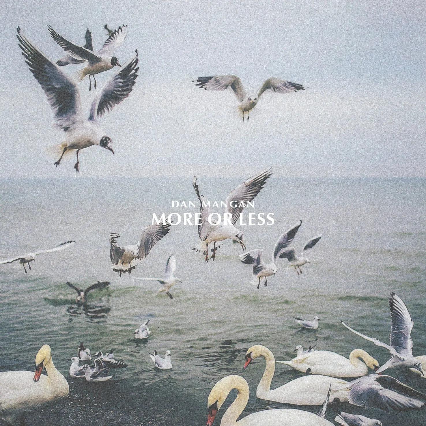 More or Less [CD]