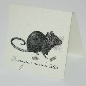 Mouse Earrings in Sterling Silver