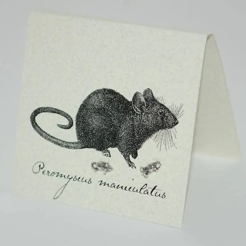 Mouse Earrings in Sterling Silver