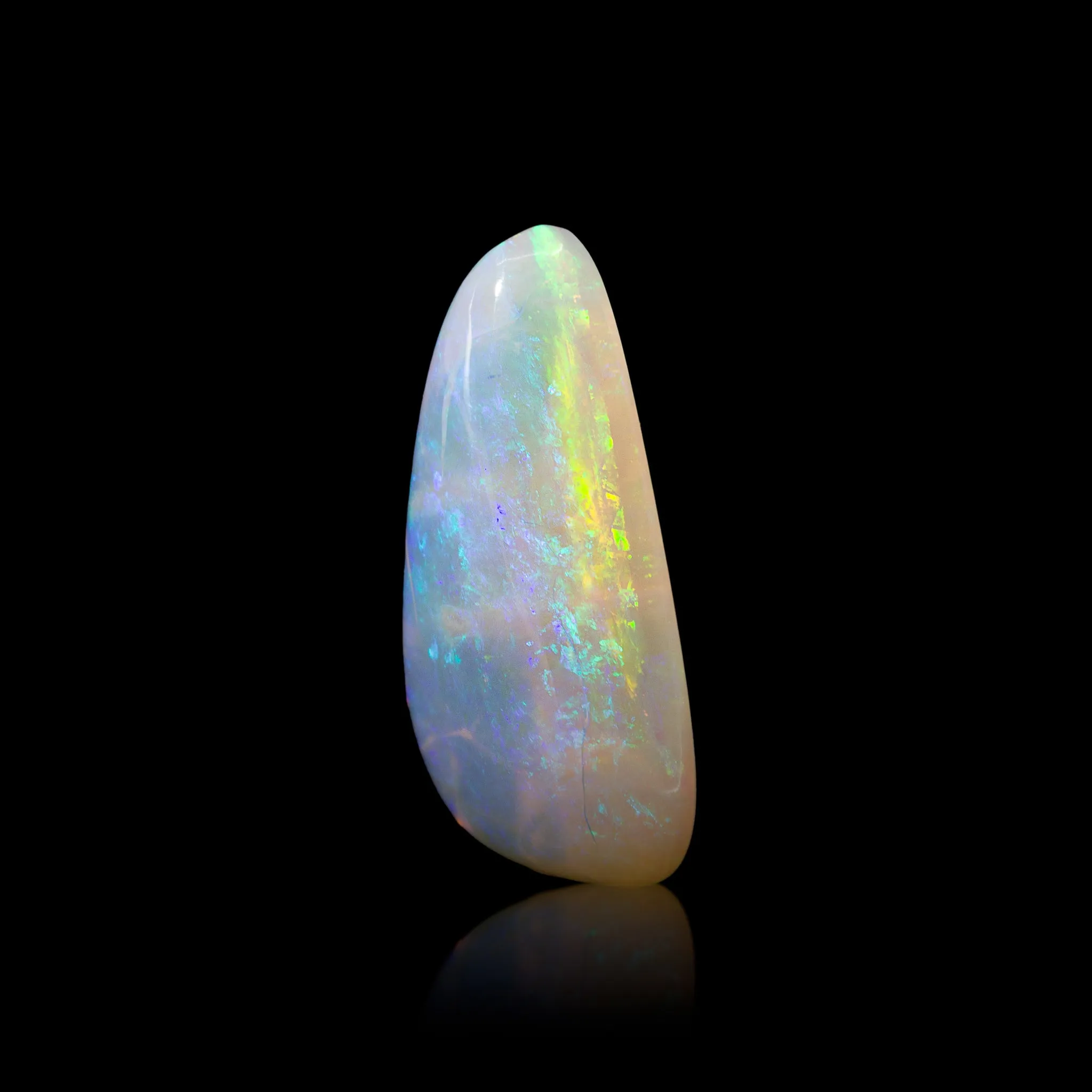 Opal Fossil Clam Shell 8.82 Carat Polished Gemstone Cabochon - Australia