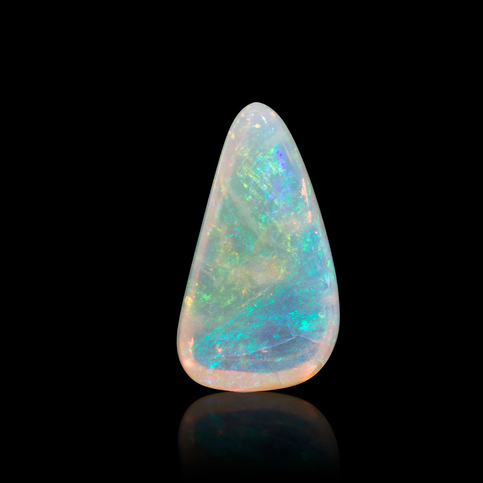 Opal Fossil Clam Shell 8.82 Carat Polished Gemstone Cabochon - Australia