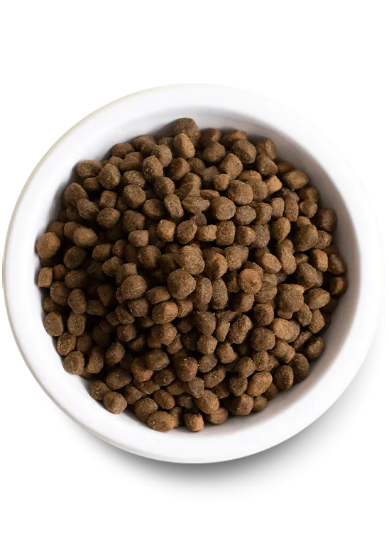 Open Farm Homestead Turkey & Ancient Grains Dry Dog Food