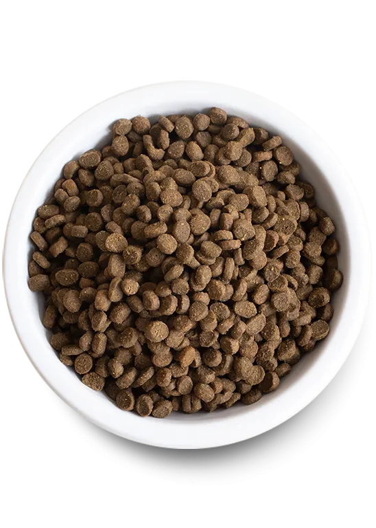 Open Farm Kitten Grain-Free Dry Cat Food