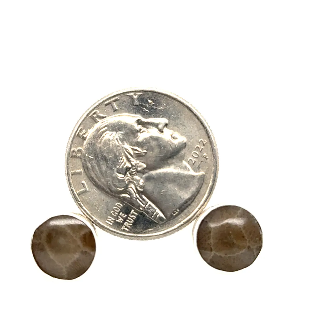 Petoskey Stone Studs