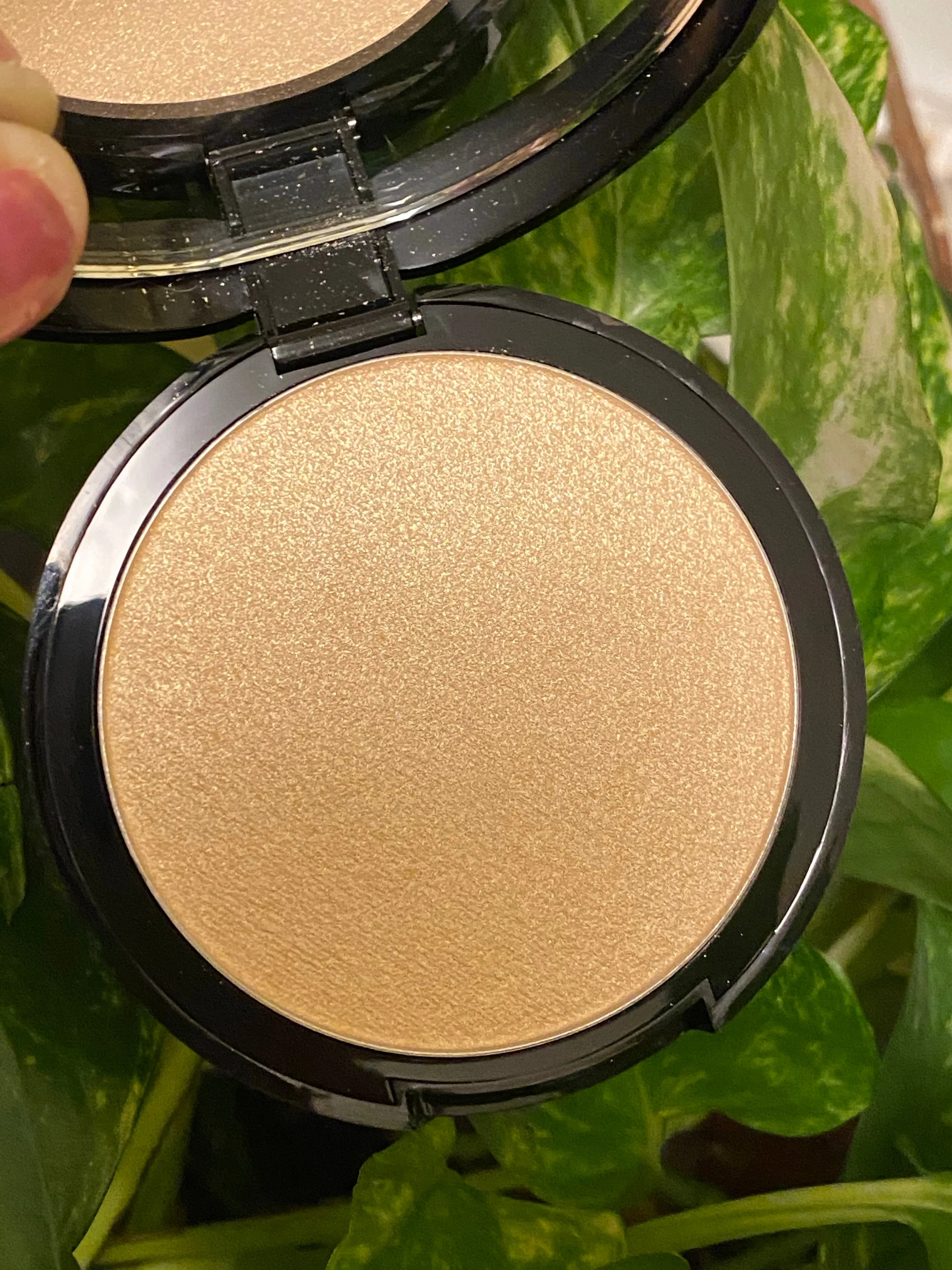 Powder Illuminator Compact