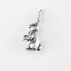Rabbit, Standing