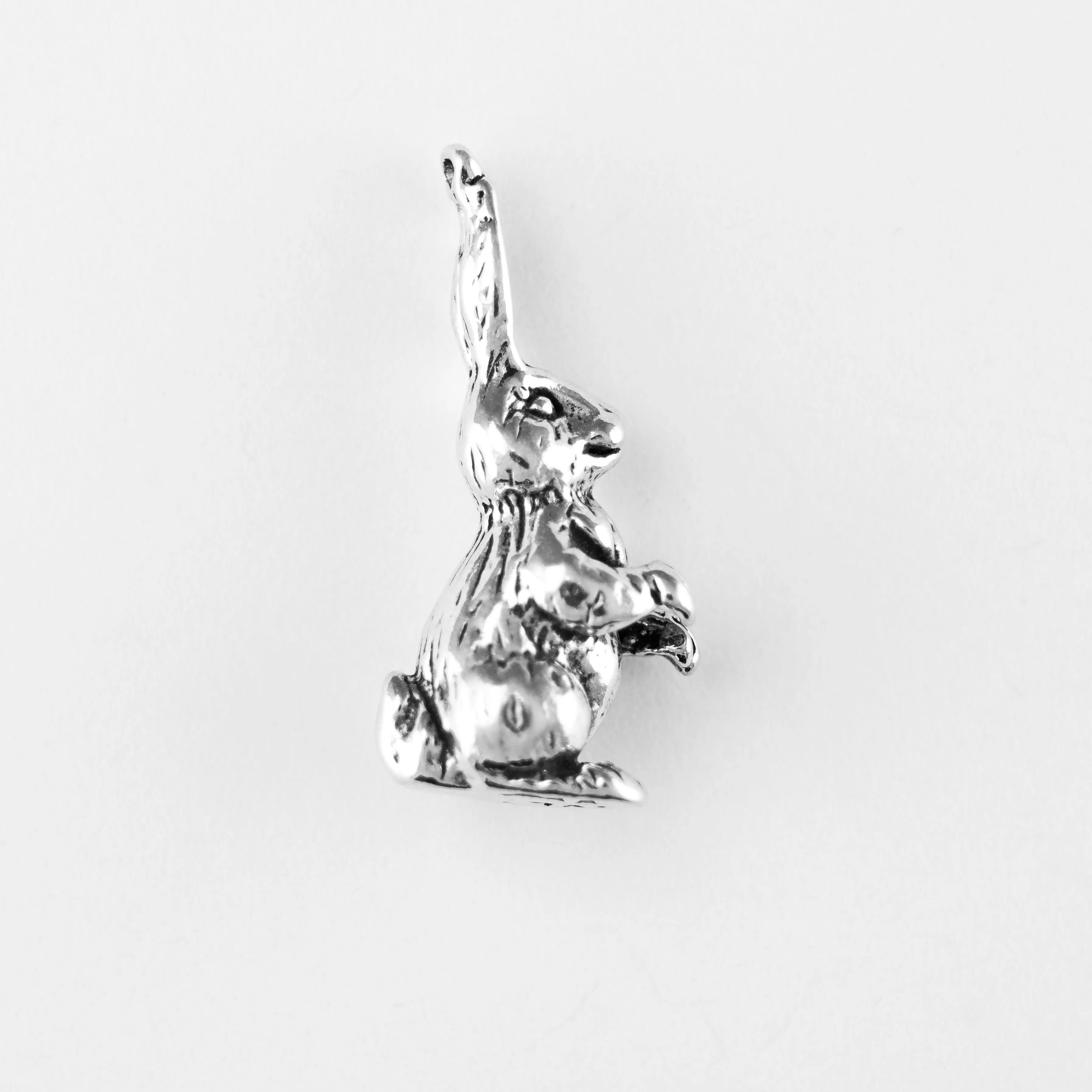Rabbit, Standing