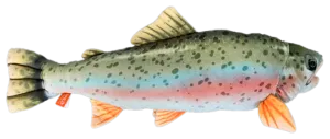 Rainbow Trout Plush 18"