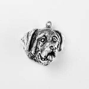 Saint Bernard