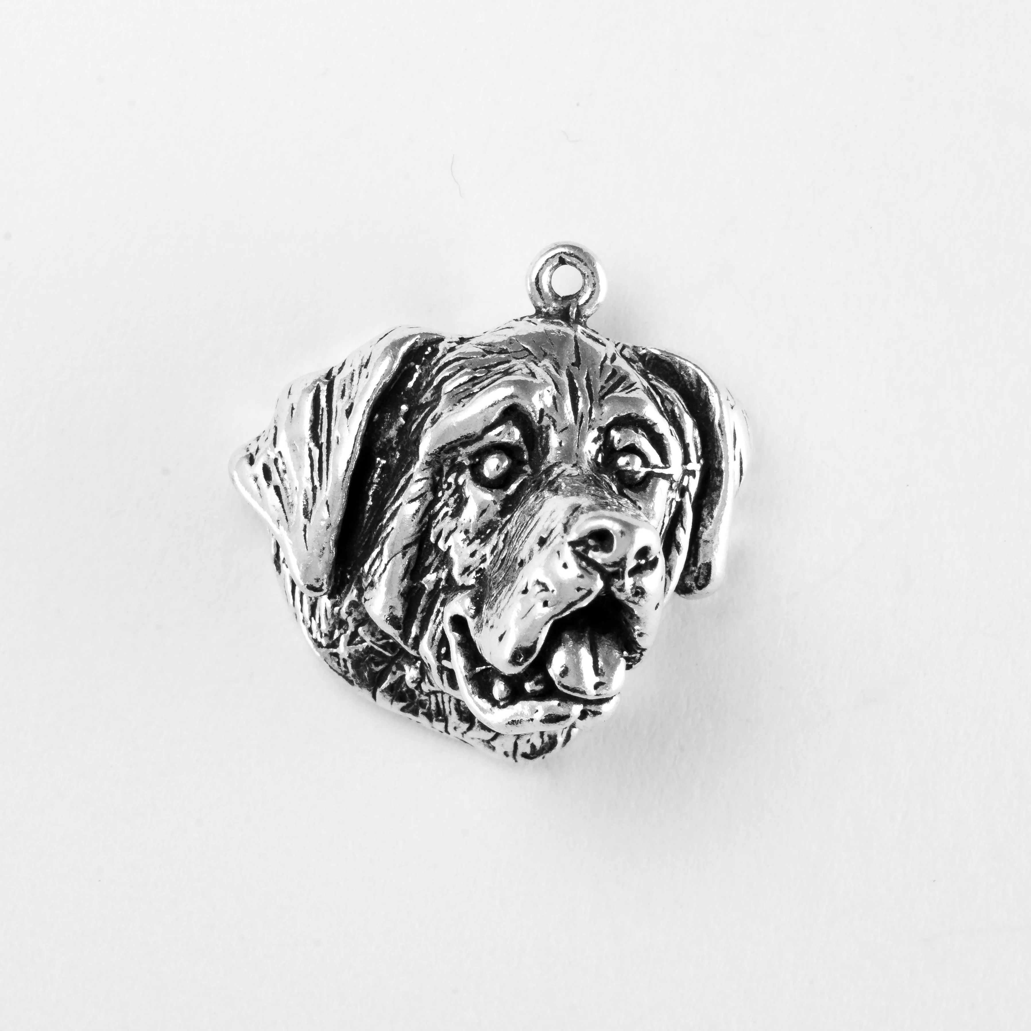 Saint Bernard