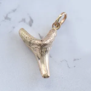 Shark Tooth Charm