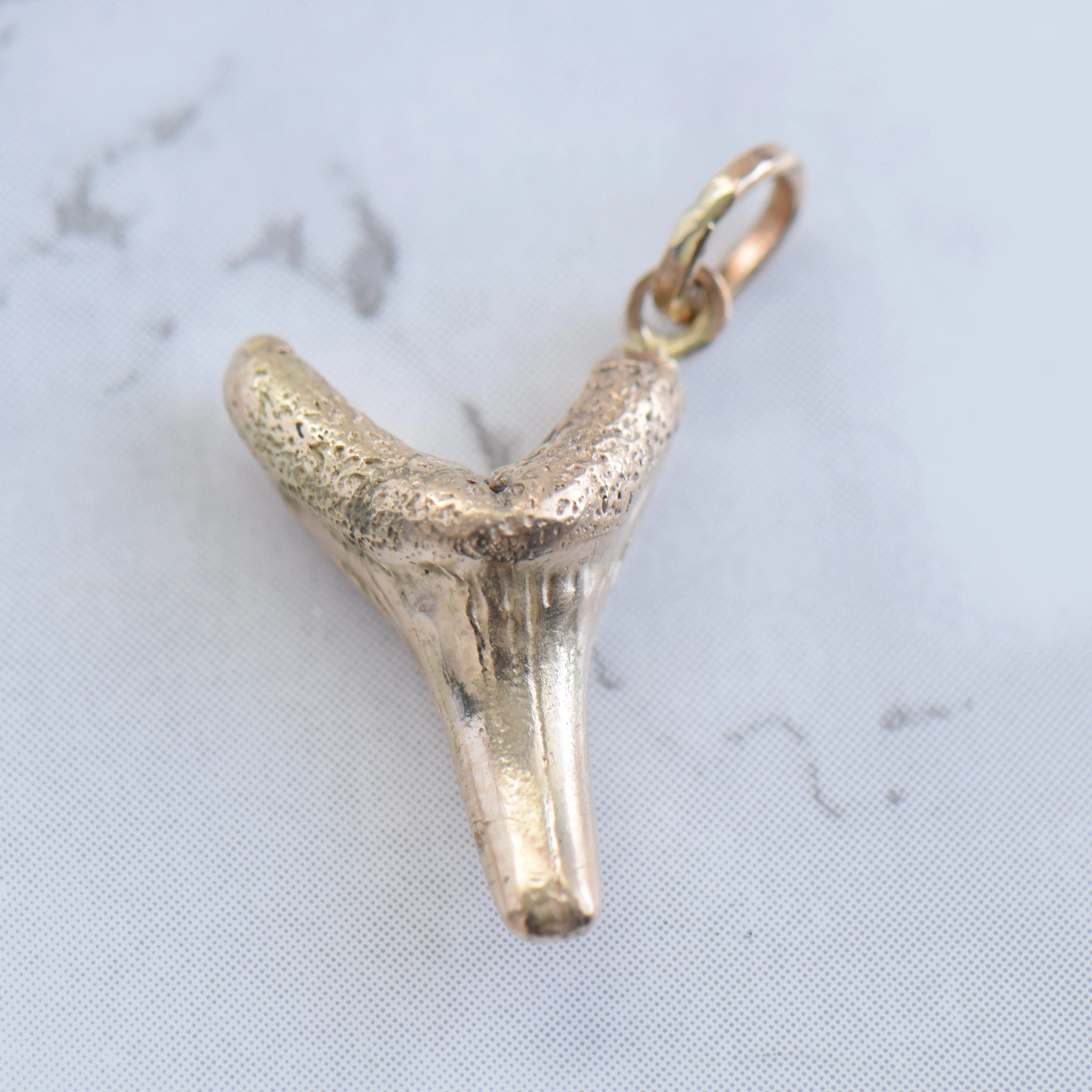 Shark Tooth Charm