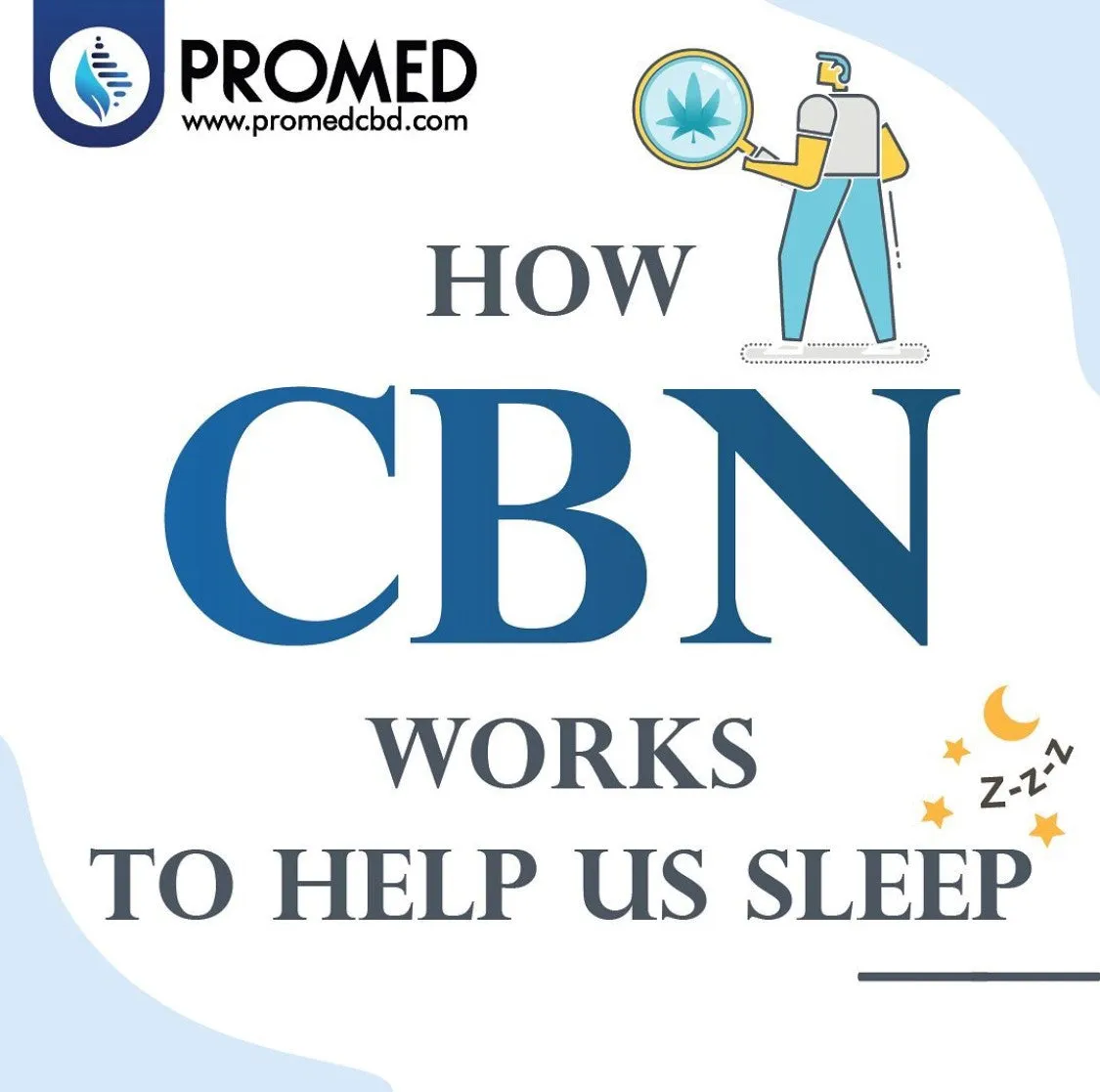 Sleep CBD Oil Drops for Sleep Support - 2000mg