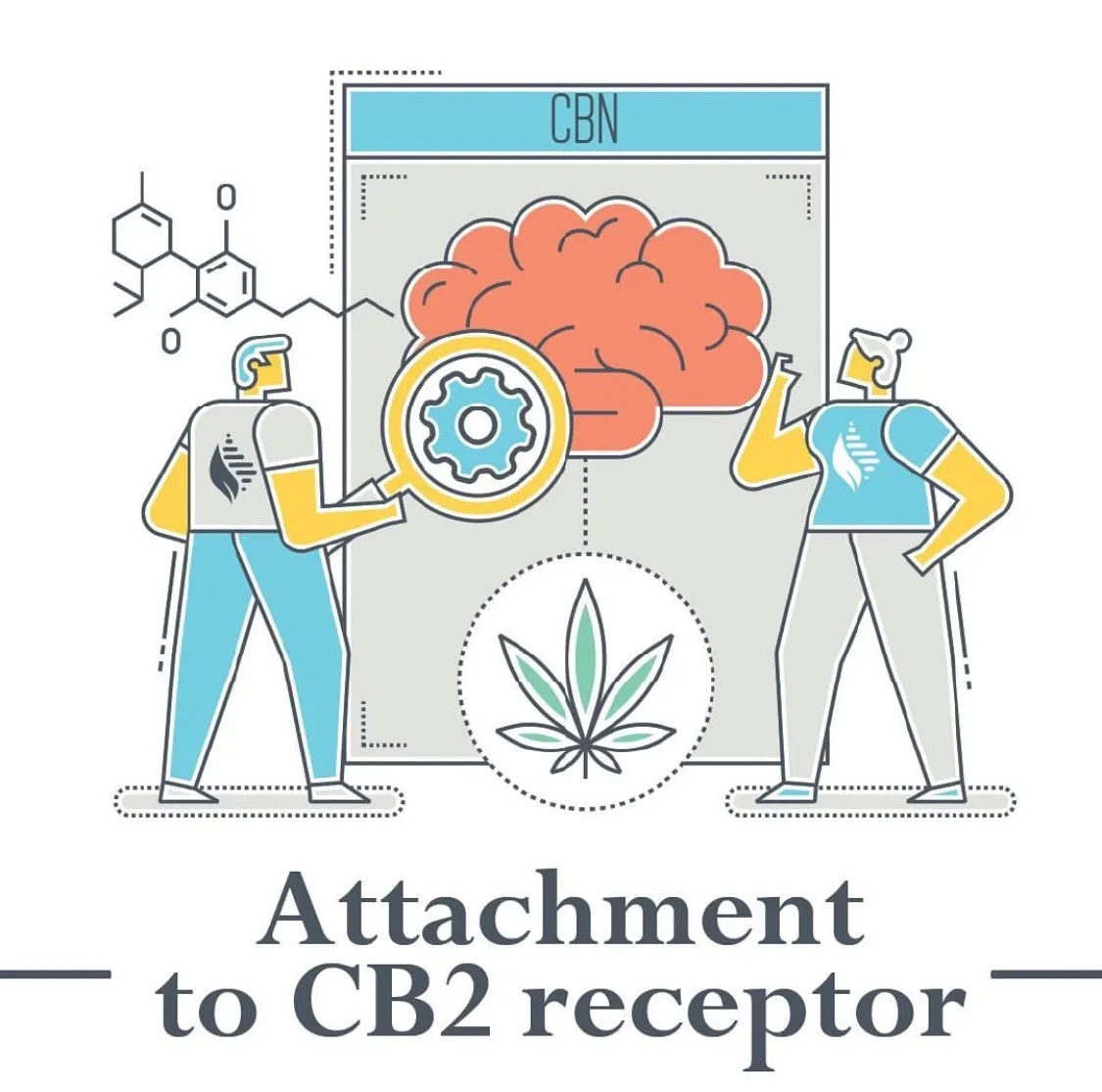 Sleep CBD Oil Drops for Sleep Support - 2000mg