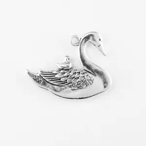 Swan