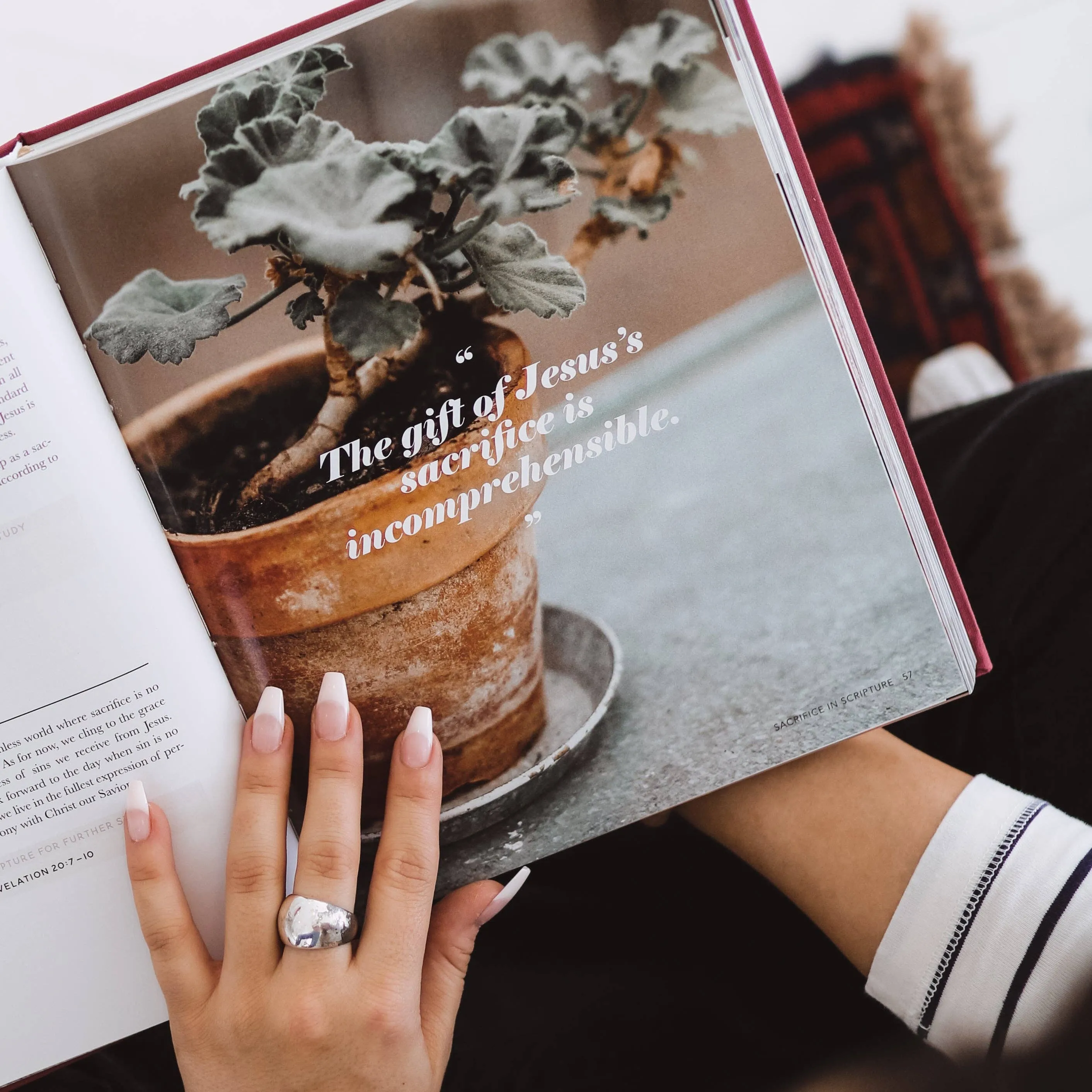 The Bible Themes Handbook