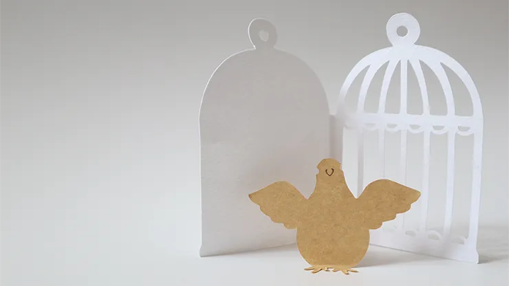 Tiny Bird (Gimmick and Online Instructions) by Hugo Choi