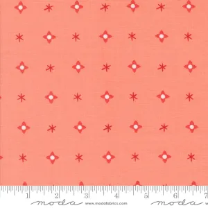 Tiny Christmas, Christmas Star in Carnation
