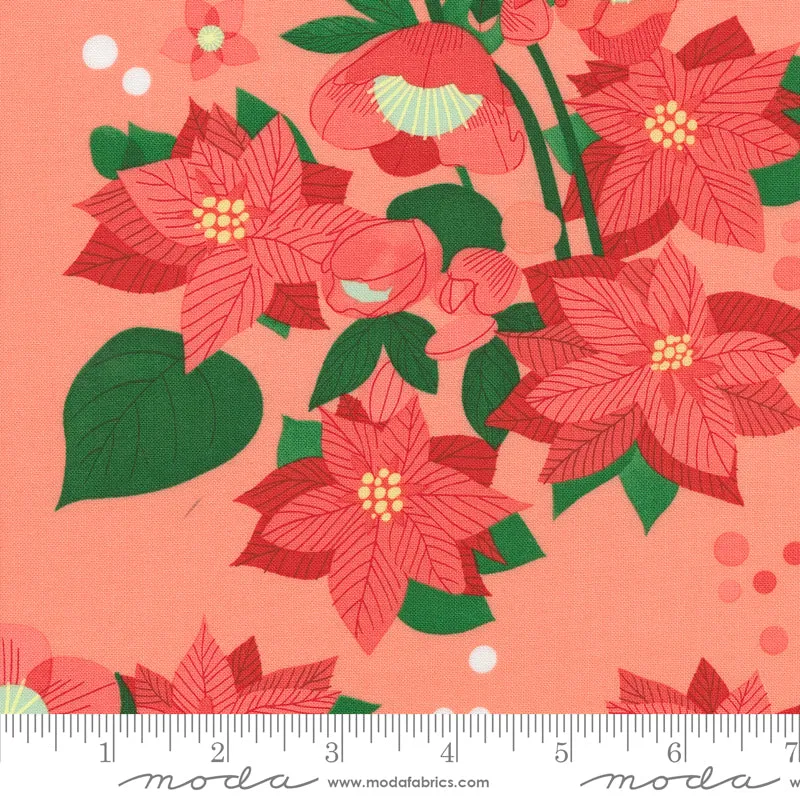 Tiny Christmas, Poinsettia in Carnation