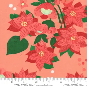 Tiny Christmas, Poinsettia in Carnation