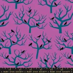 Tiny Frights, The Birds Witchy