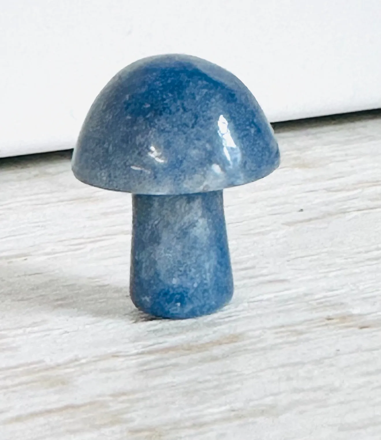 Tiny Gemstone mushrooms