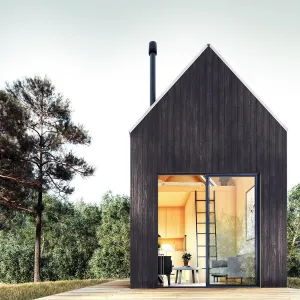 Tiny House Cabin