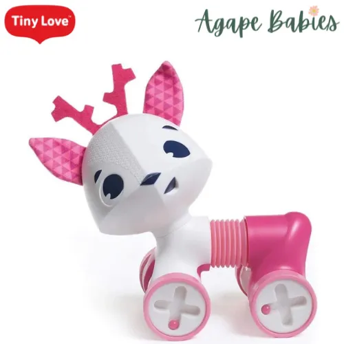 Tiny Love Tiny Rolling Toy - 3 Designs