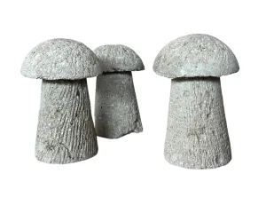 Tiny Mushrooms