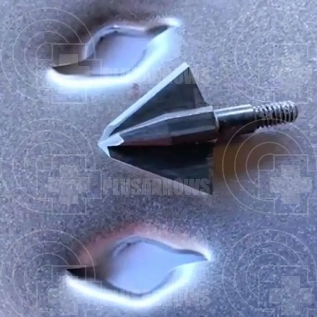 Tooth of The Arrow Single Bevel Broad Head (3 Pack)