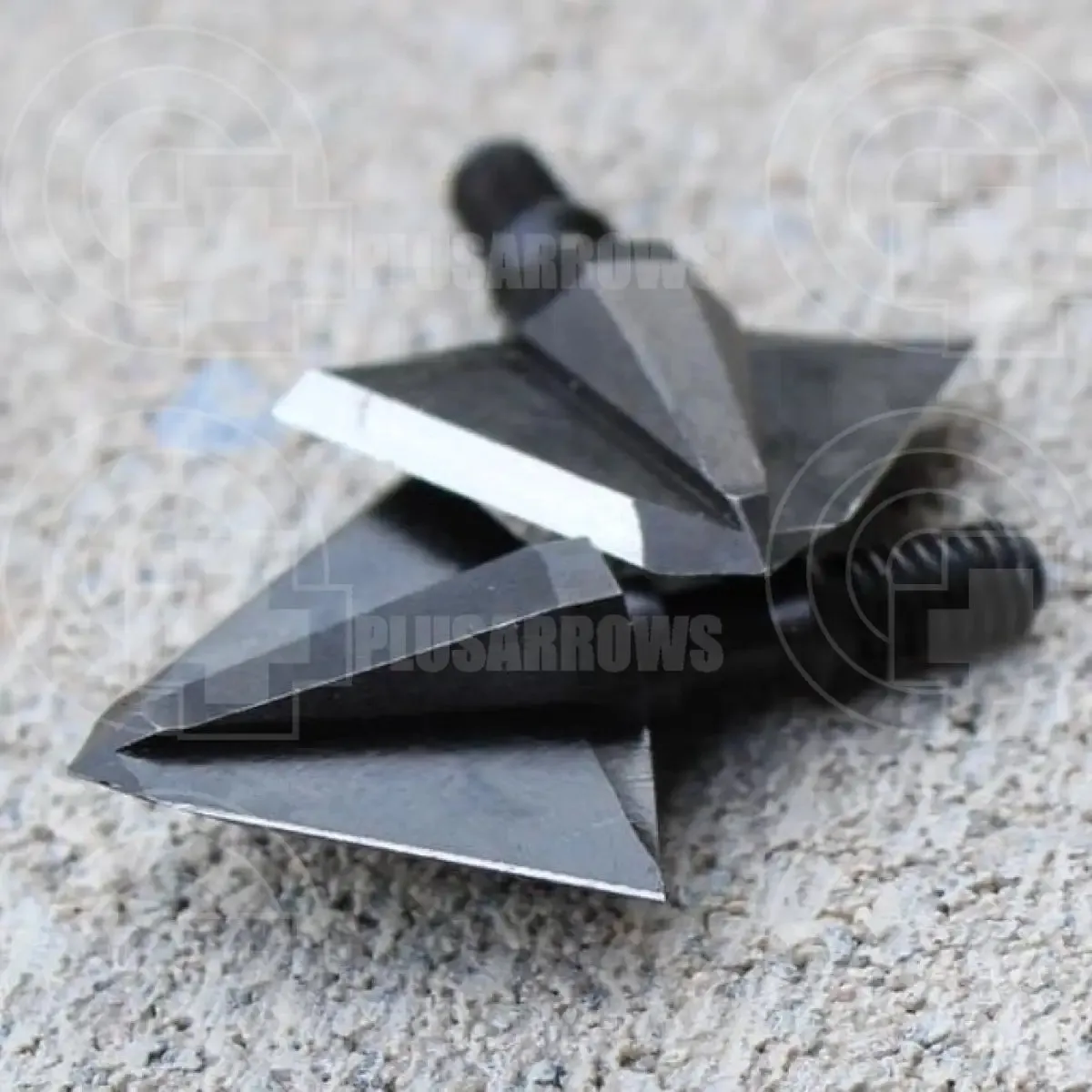 Tooth of The Arrow Single Bevel Broad Head (3 Pack)