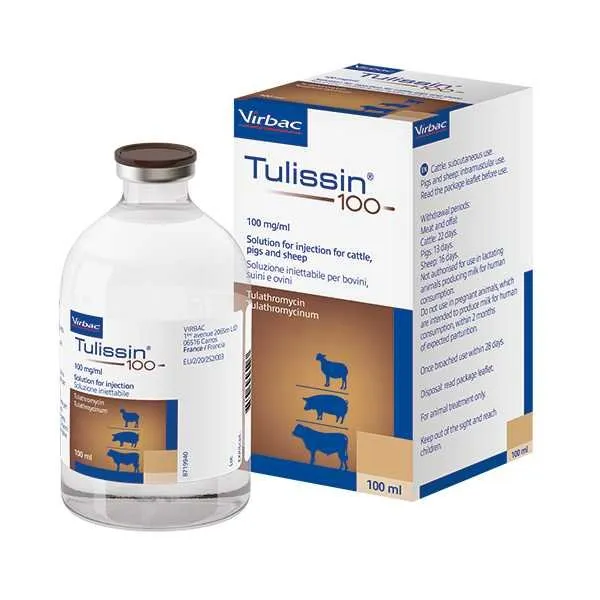 Tulissin 100