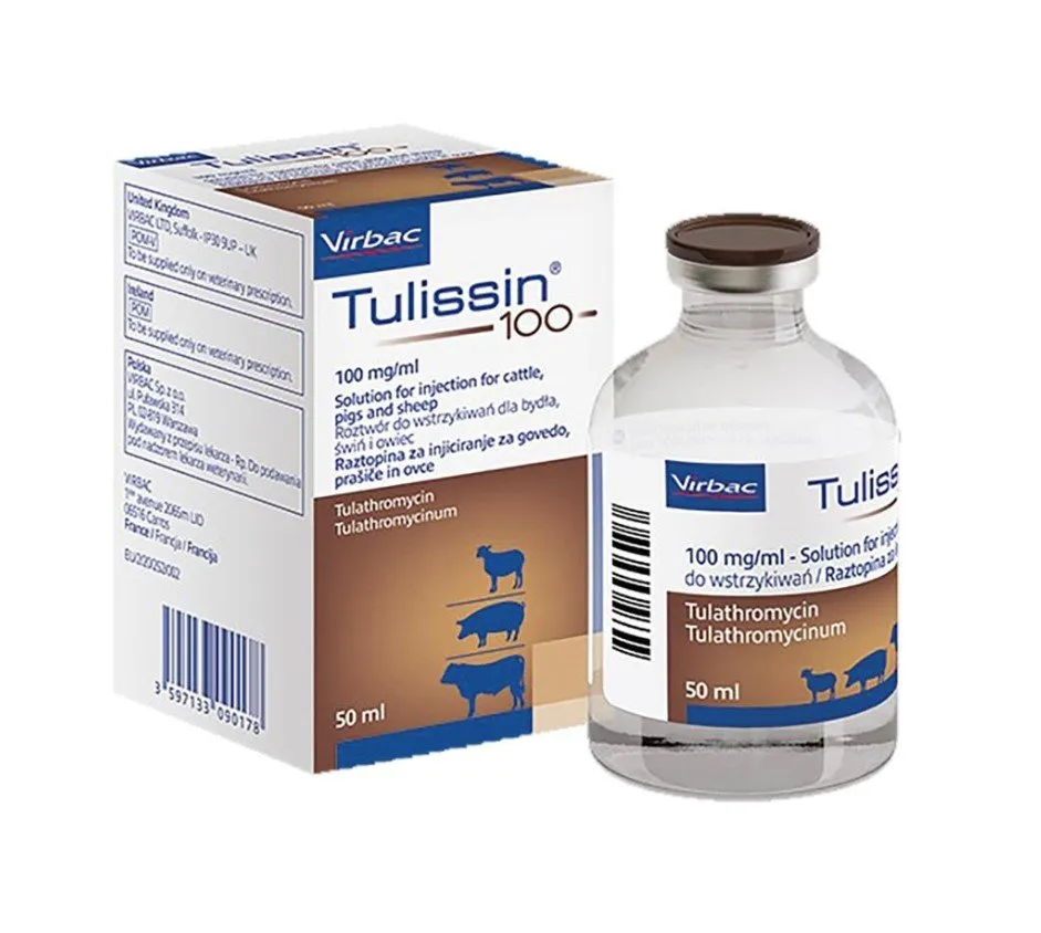 Tulissin 100