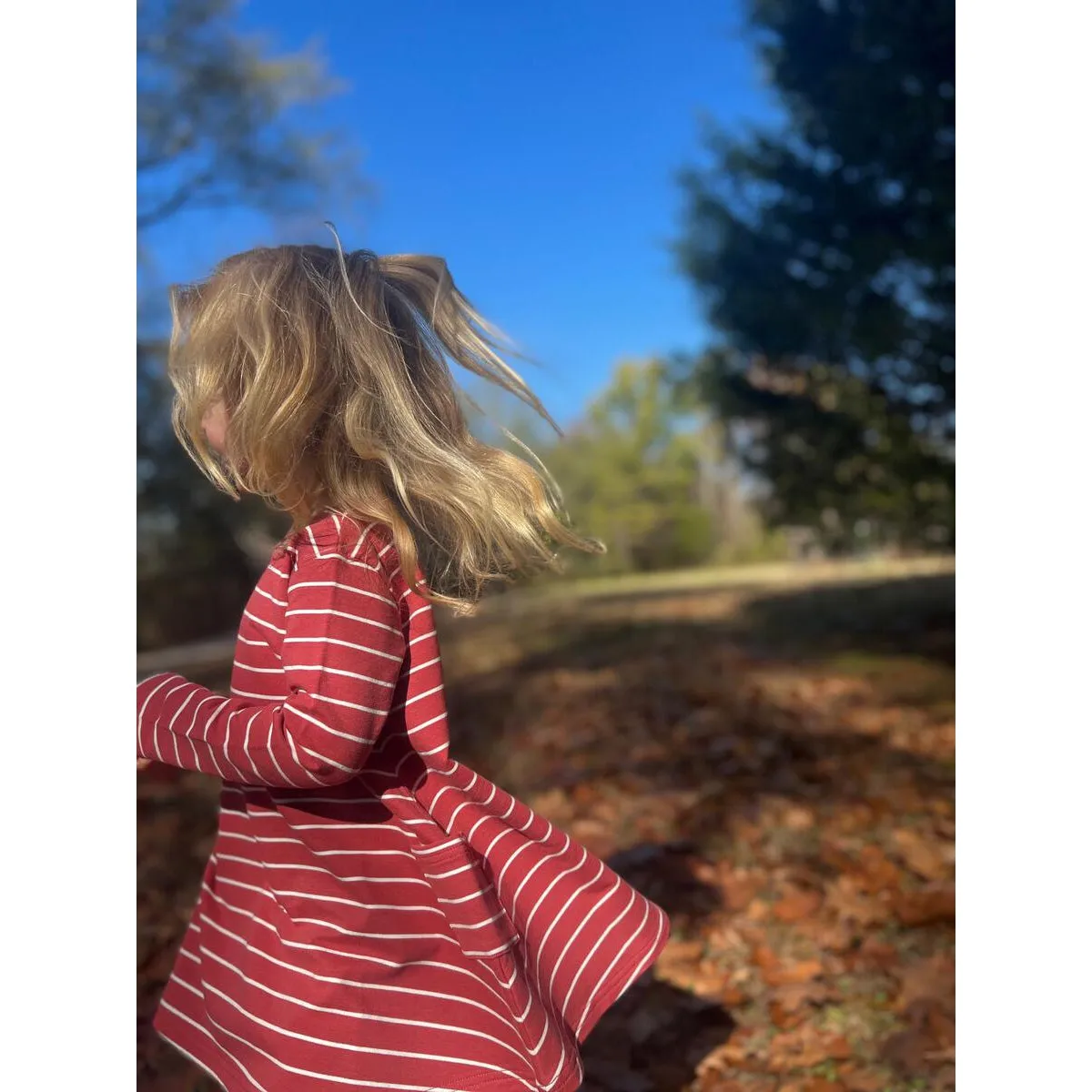 Vignette Burgundy Stripe Leena Dress