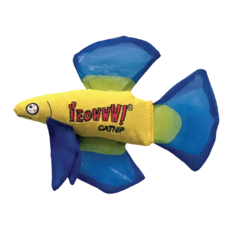 Yeowww! - Mo Betta Fish