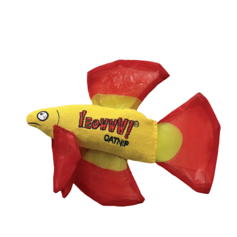 Yeowww! - Mo Betta Fish